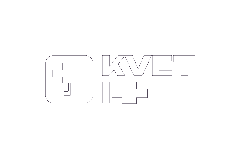 Kvetio